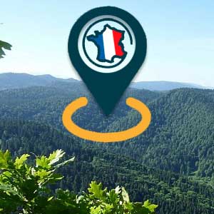 Ecocup le gobelet français